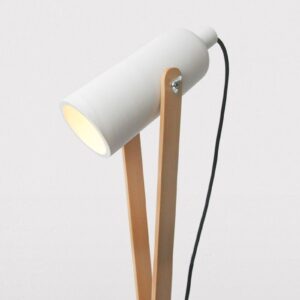 Neque Egestas Congue